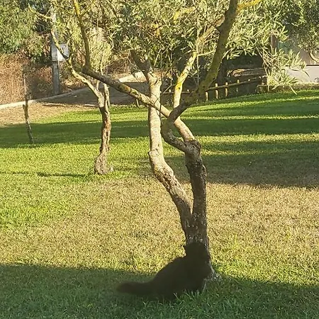 Relax Tra I Mirti Villa Casa Linari